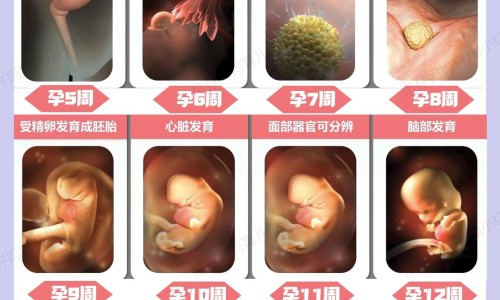 梅尼埃病能控制住吗-梅尼埃病人能生孩子吗网 - 为你提供梅尼埃病一般人能扛得住吗、梅尼埃病适合做什么工作