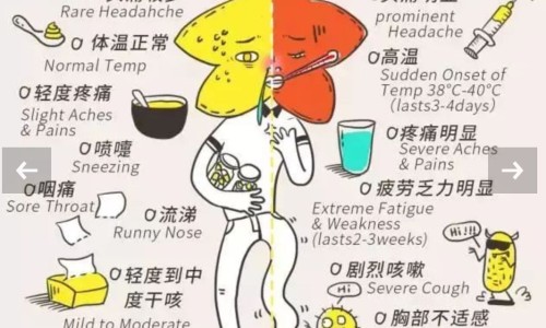 梅尼埃病能控制住吗-梅尼埃病人能生孩子吗网 - 为你提供梅尼埃病一般人能扛得住吗、梅尼埃病适合做什么工作